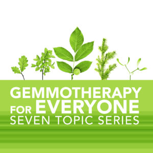 Gemmotherapy for Everyone: Seven Topic Series