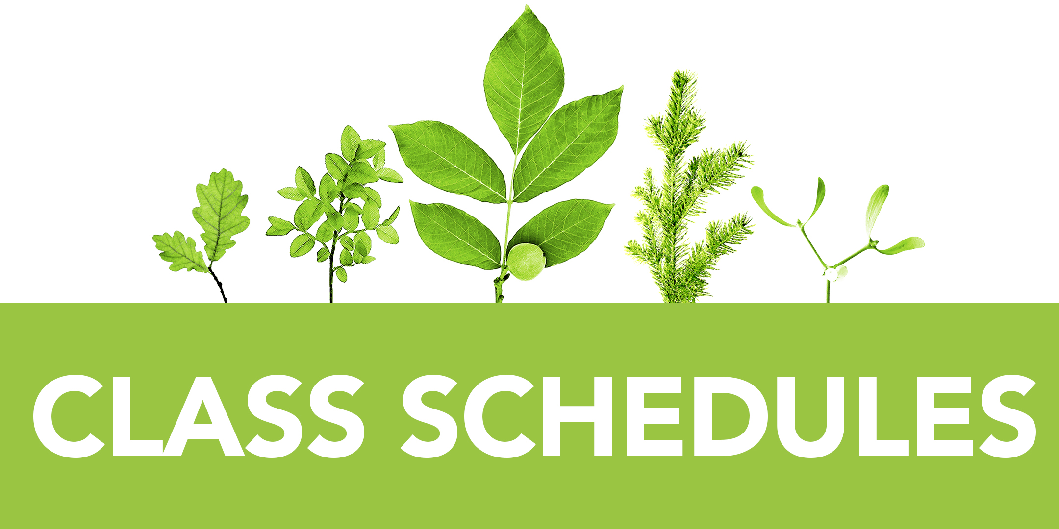 CLASSschedules CLASSschedules