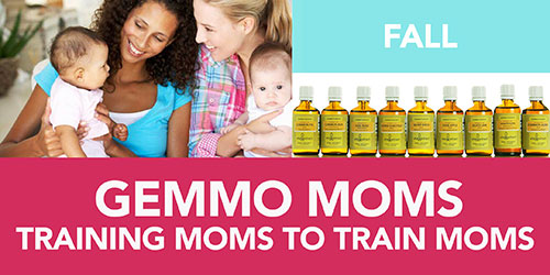 MOMSTrainingFALLRESIZED