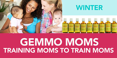 MOMSTrainingWINTERRESIZED