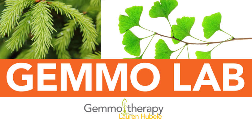Gemmo Lab