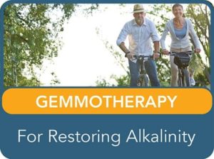 Learn about the extracts that promote lymphatic drainage and circulatory health