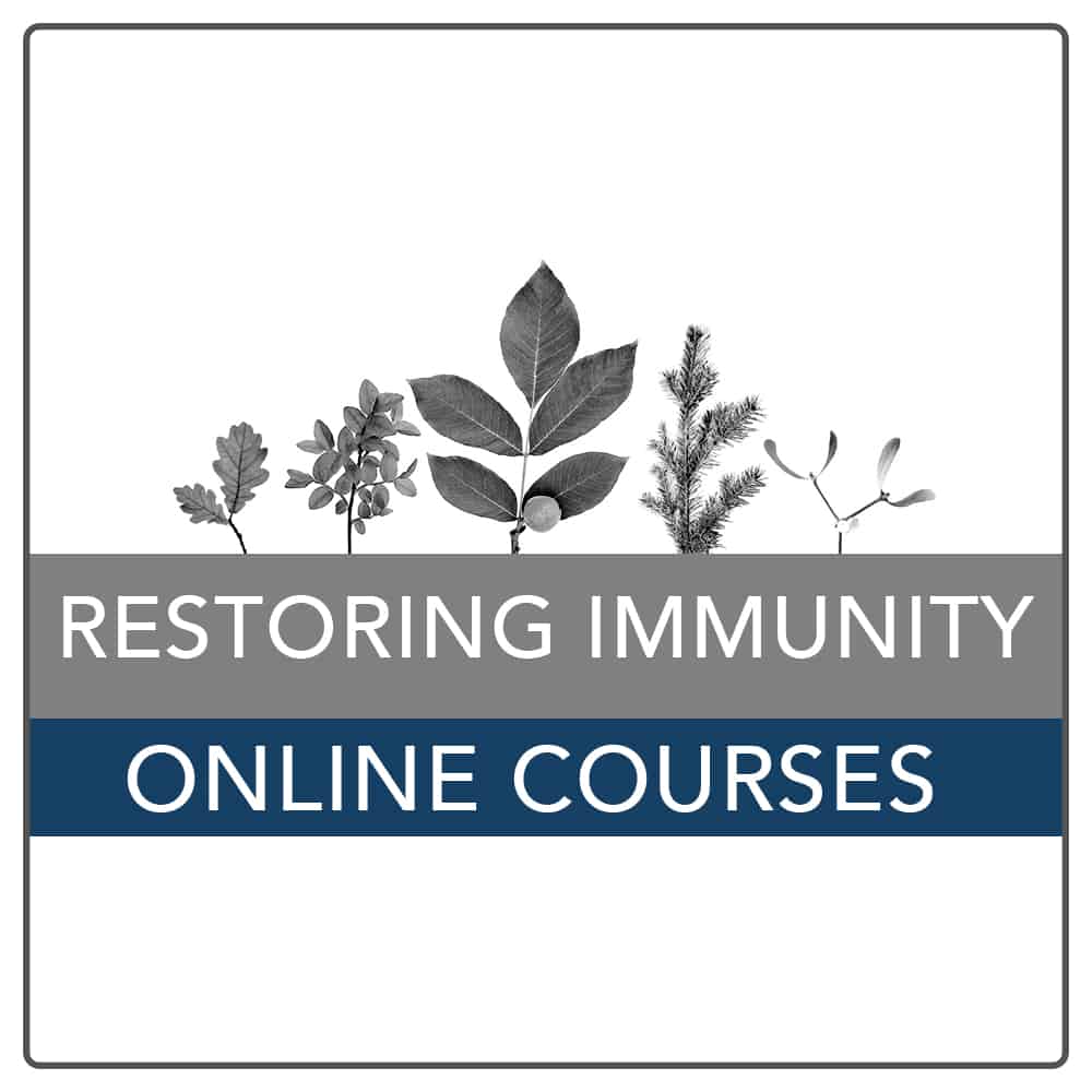 Learn more about restoring immunity naturally through Lauren's upcoming courses