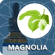 magnolia