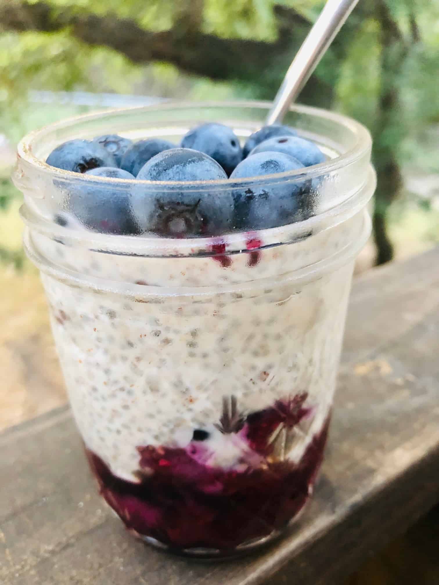 Nut Butter & Jam Chia Pudding