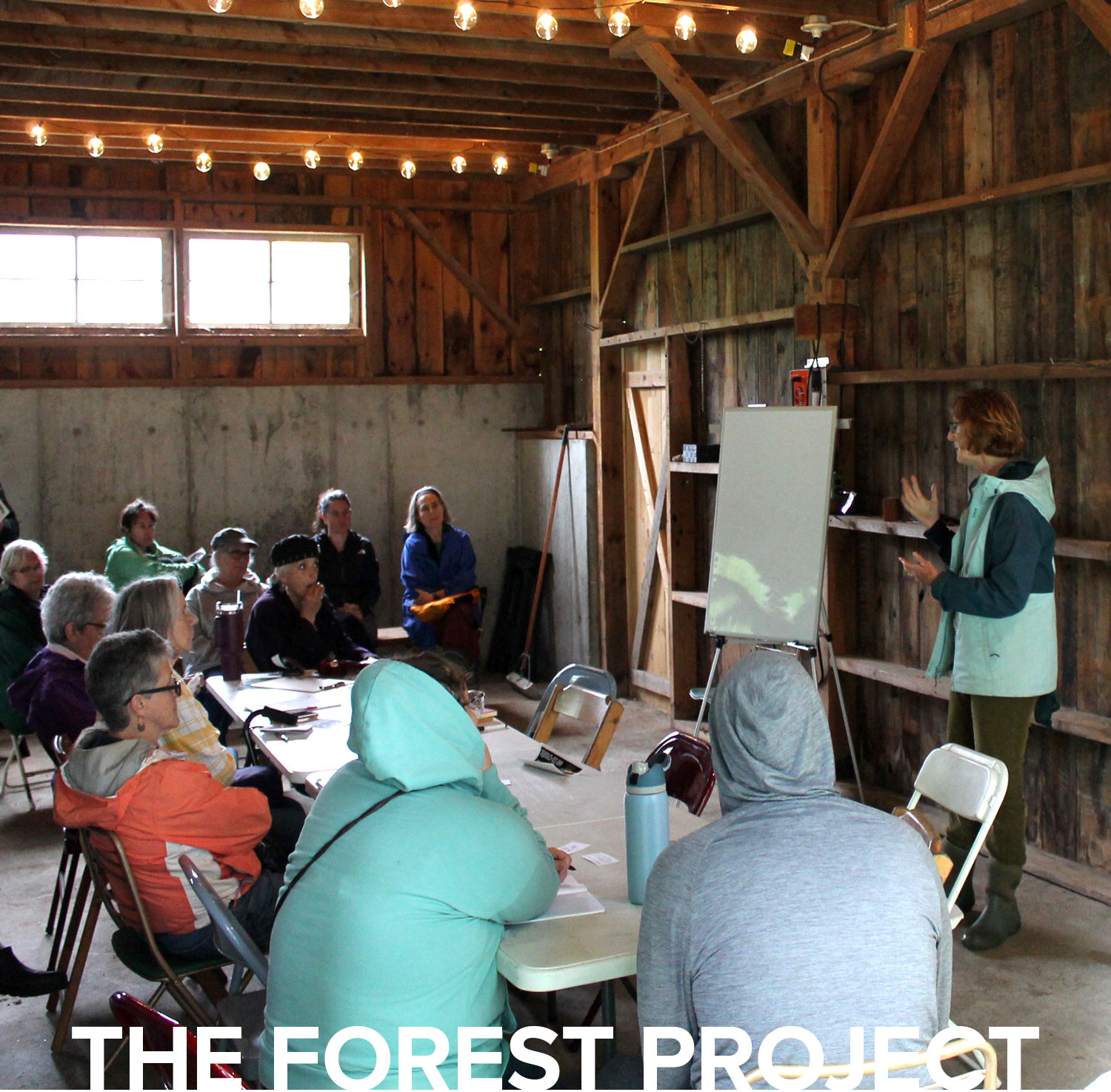 ForestProject ForestProject